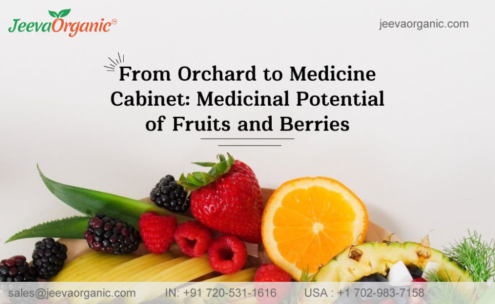 Medicinal Fruits and Berries in Herbalism
