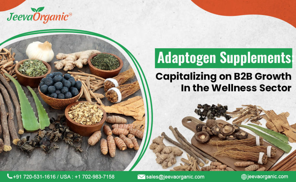 Adaptogen Supplements: Harnessing Wellness Demand