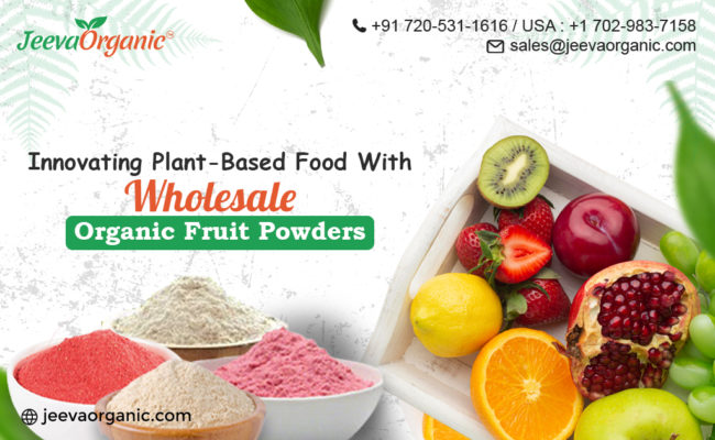 Wholesale Organic Fruit Powders for Plant Based Products
