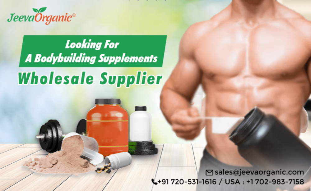 Sourcing in Bulk: Bodybuilding Supplements Wholesale Supplier