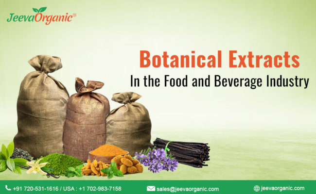 Wholesale Botanical Extracts in the Food and Beverage Industry
