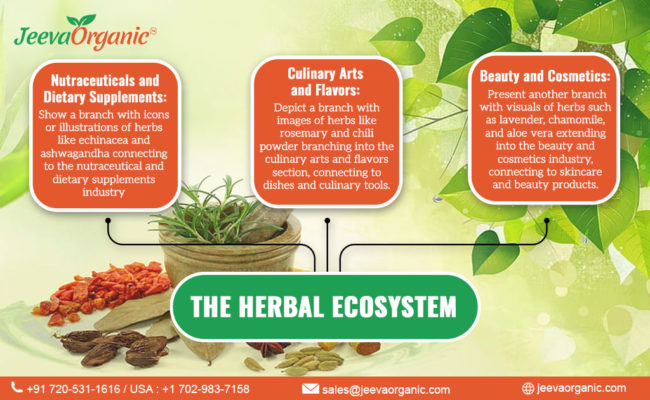 Herbal-Ecosystem