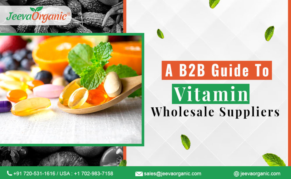 Vitamin Wholesale Suppliers: A B2B Guide