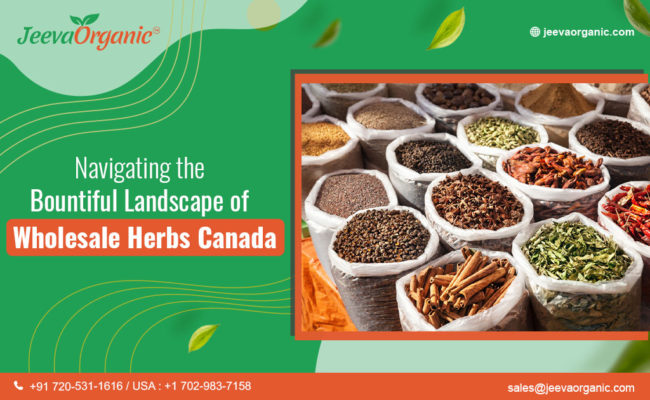 Exploring Wholesale Herbs Canada Through Nature's Bounty