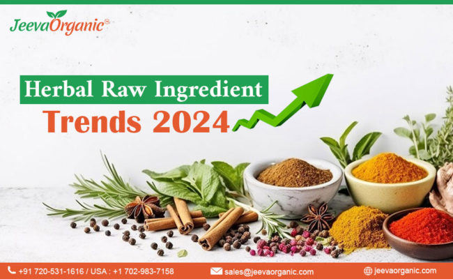 Herbal Raw Ingredient Trends 2024 by Wholesale Herb Vendors