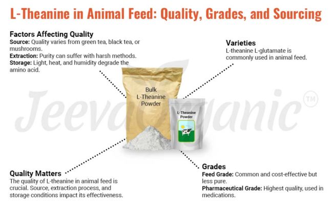 L-Theanine Powder Supplement for Animal Feed Formulations