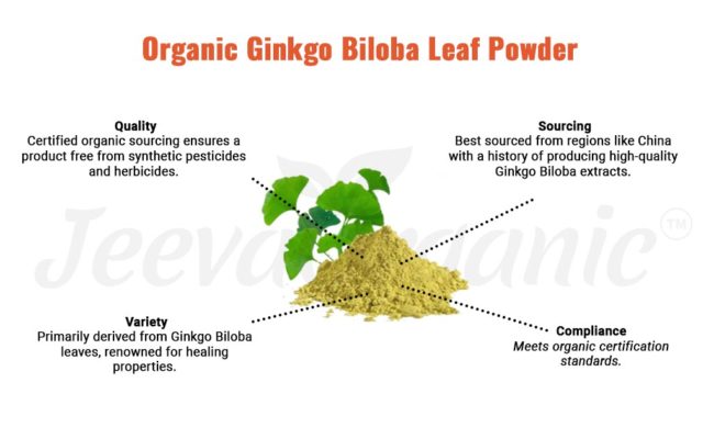 organic ginkgo biloba leaf powder 