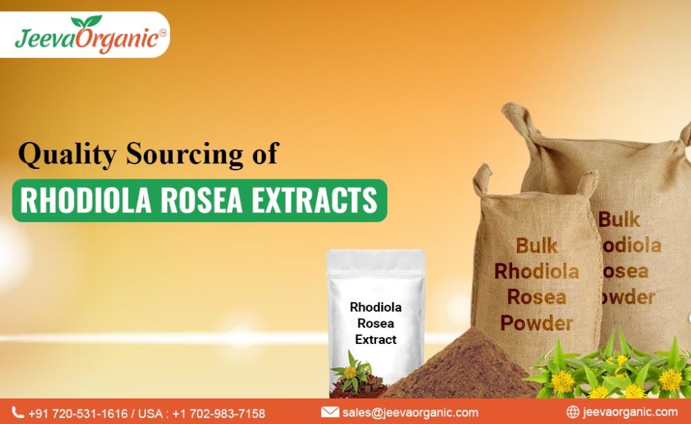 Discover the power of Rhodiola Rosea Extract and the art of sourcing excellence for premium dietary supplements. Elevate your formulations.