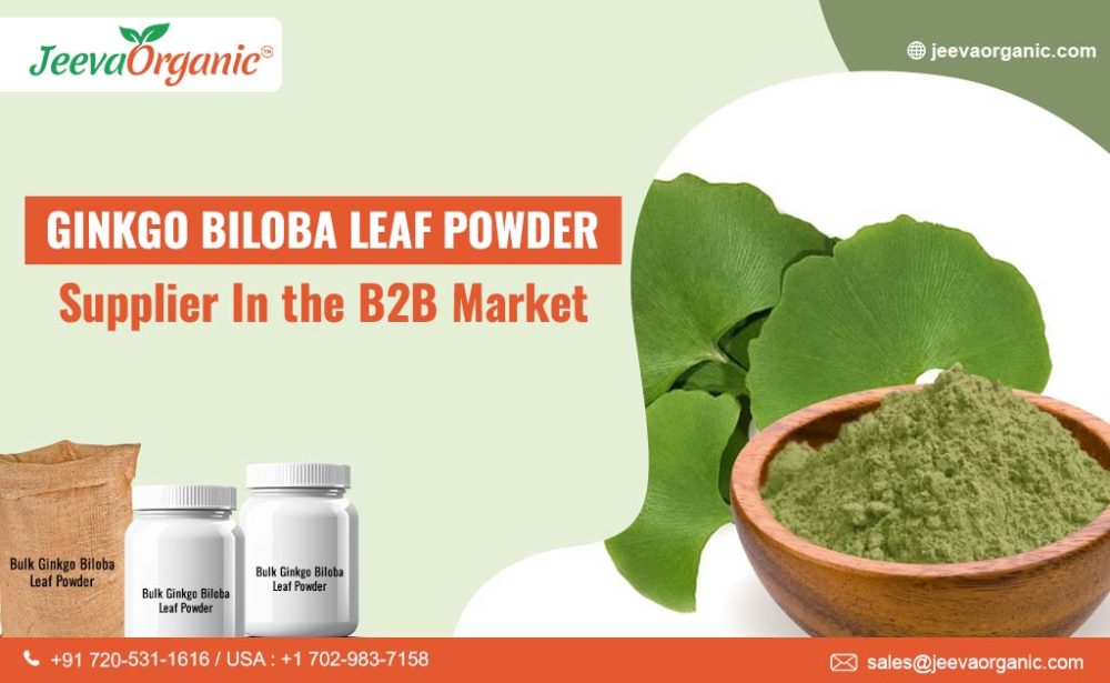 organic ginkgo biloba leaf powder