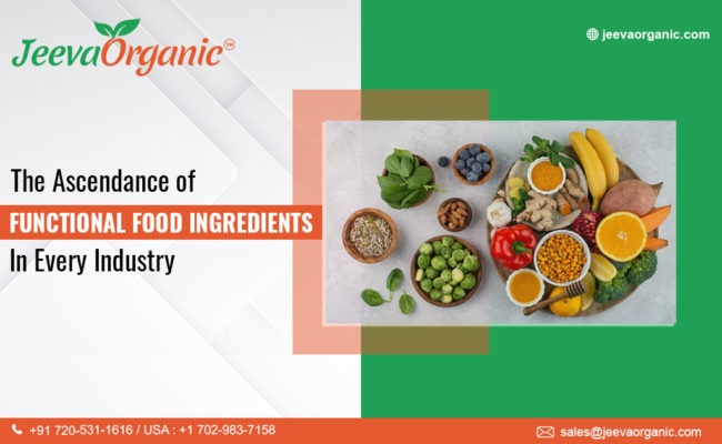 Dive into the realm of B2B success with the surge of functional food ingredients. Discover how businesses can leverage this trend.