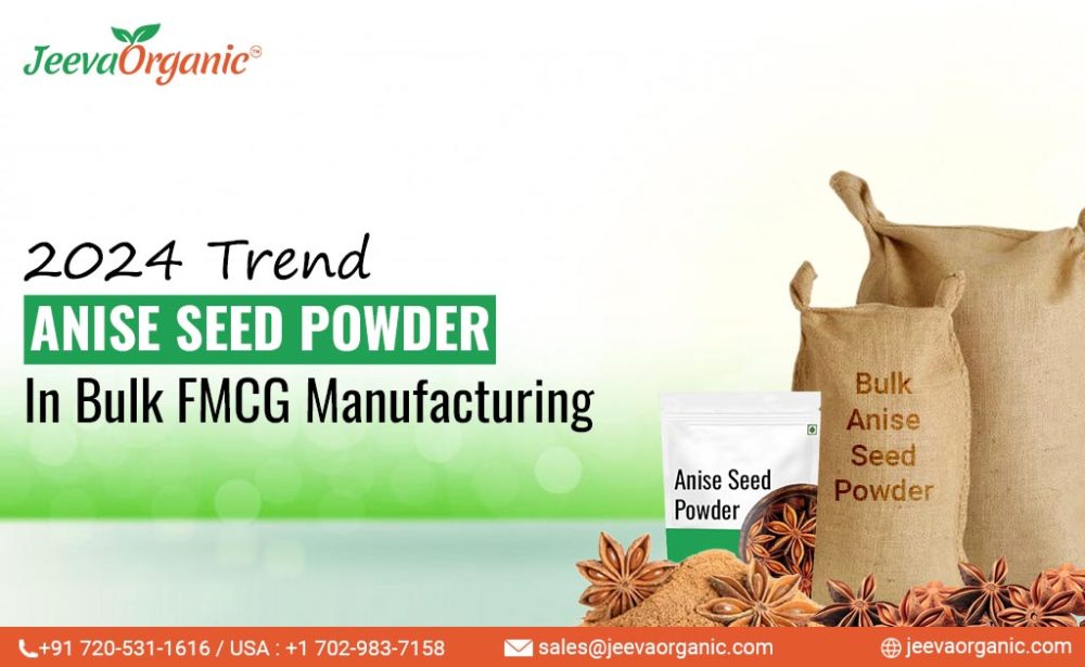 2024 Trend of Anise Seed Powder in Bulk FMCG Manufacturing