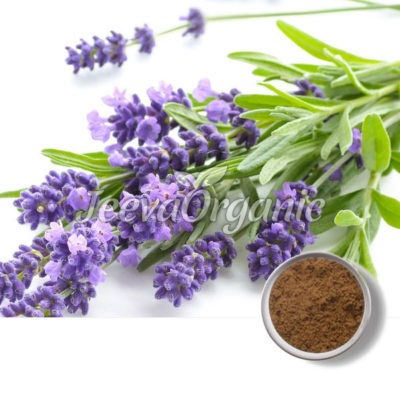 Versatility of Lavender Powder for B2C Products