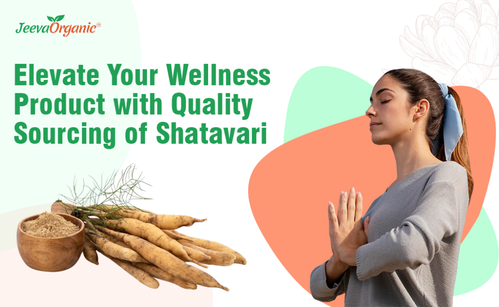Shatavari Powder Blends and Quality Sourcing  