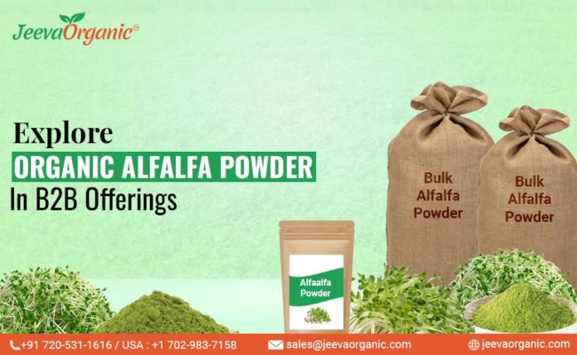 Explore creative B2B product development ideas with organic alfalfa powder. Discover innovative formulations for consumers.