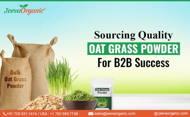 A guide to empower food and beverage manufacturers to source premium quality oat grass powder, covering key considerations.