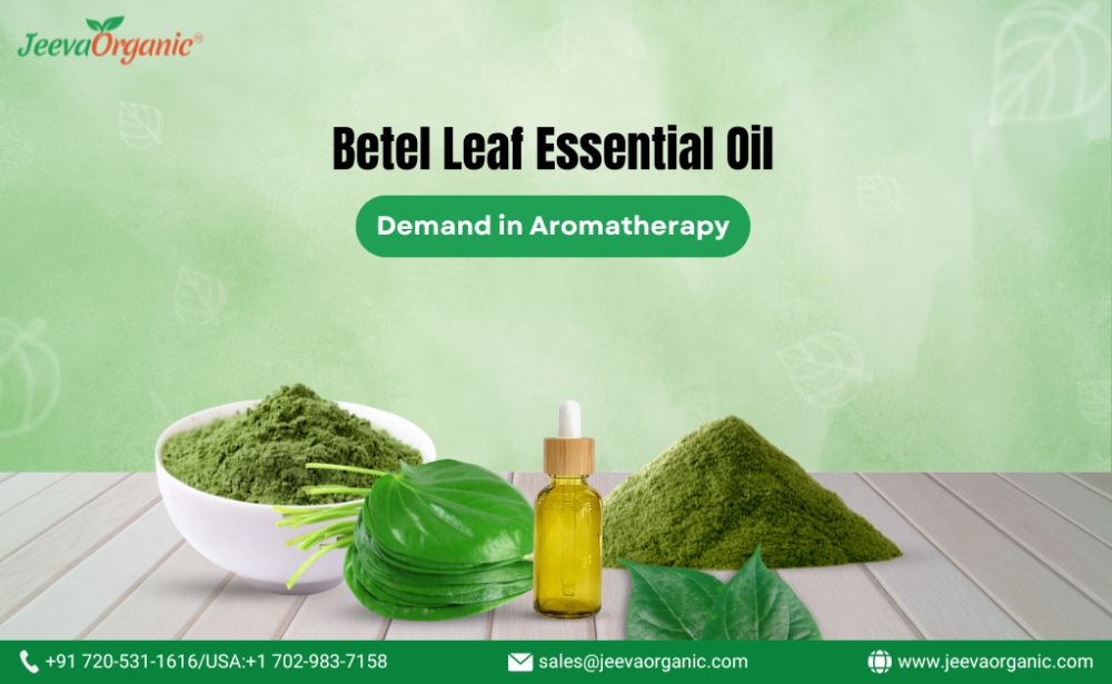 The Surging Demand for Betel Leaf Essential Oil in Aromatherapy