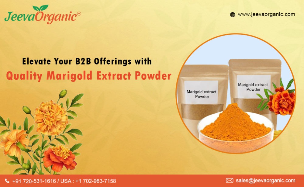Explore the diverse applications of quality Marigold Extract Powder in B2B industries, from food to skincare and nutraceuticals.