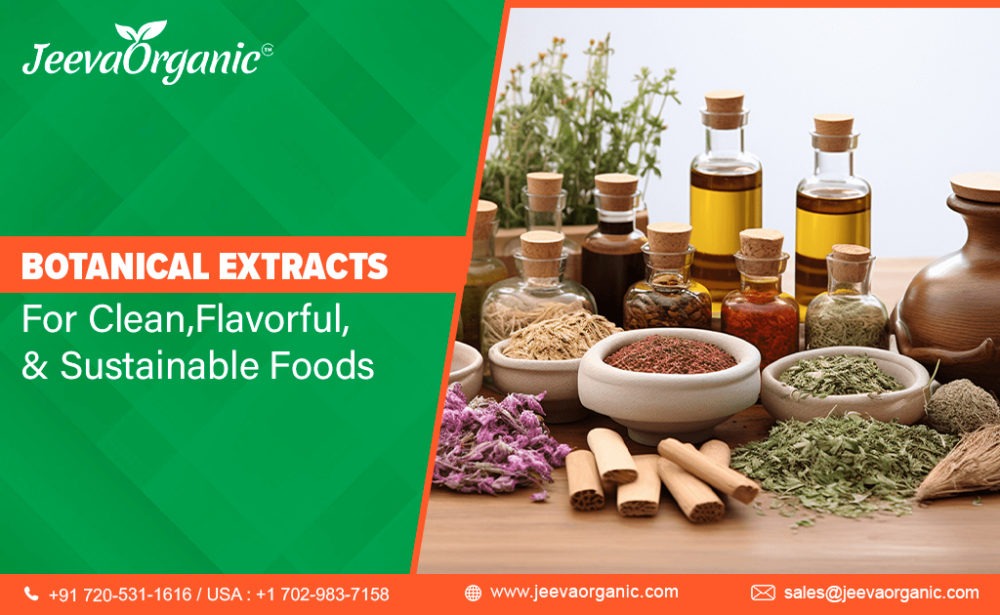 Botanical Extracts for Foods as Natural Alternatives
