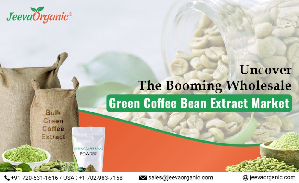 Dive into the surging market for wholesale green coffee bean extract! Discover its applications in nutraceuticals, cosmetics, & beverages.