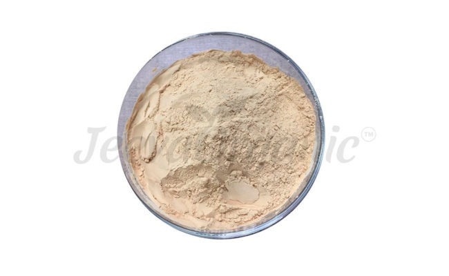 Serratiopeptidase Powder Sourcing Guide
