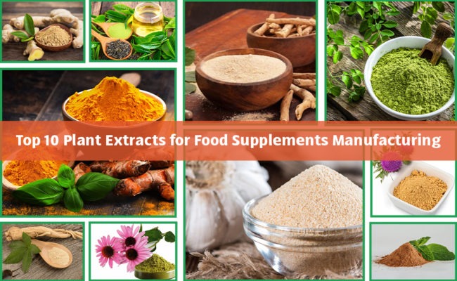 Top 10 Powerful Plant Extracts for Food Supplements in 2024 