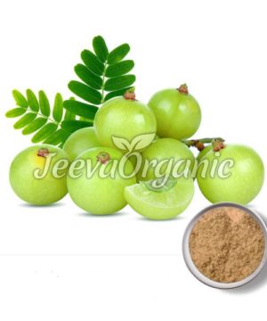 Amla Fruit Extract Powder