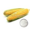 Corn Protein Powder