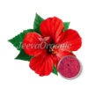 Hibiscus Extract Powder