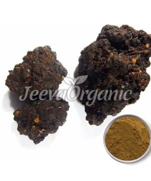 Himalayan Shilajit Extract Powder