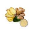 Organic-Ginger-Extract