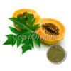 Papaya-leaf-powder