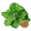 Peppermint Extract Powder