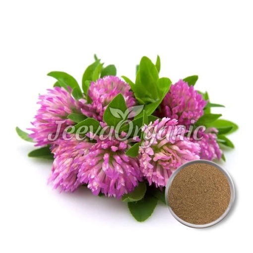 Red Clover Aerial Extract Powder