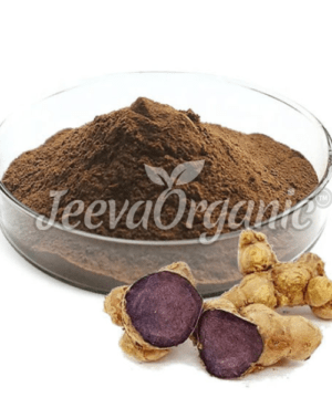 Black ginger root extract powder