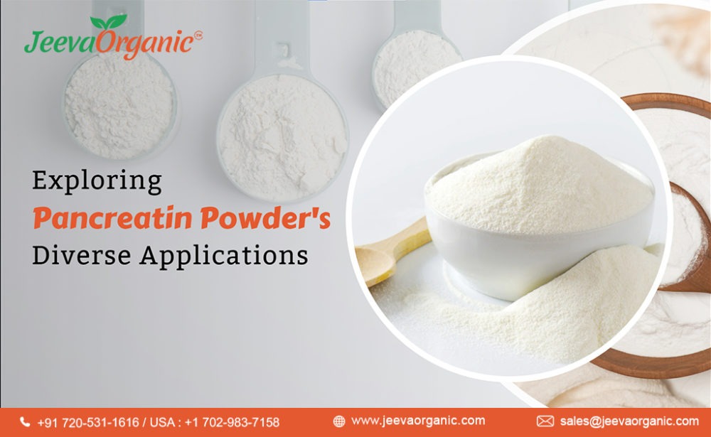 Discover the versatile applications of pancreatin powder beyond digestive supplements. Explore how this enzyme is revolutionizing industries.