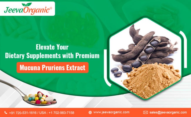 Mucuna Pruriens Extract Sourcing: A Guide