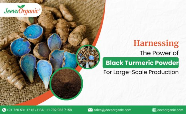 Black Turmeric Powder for Potential for Manufacturing