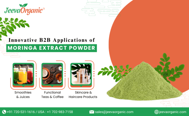 Moringa Extract Powder: Exploring B2B Applications