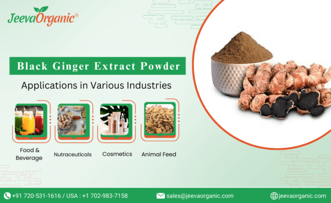 Black Ginger Extract Powder: Applications Across Industries