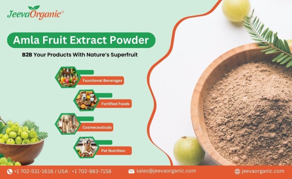 Amla Fruit Extract Powder Application Beyond Supplements