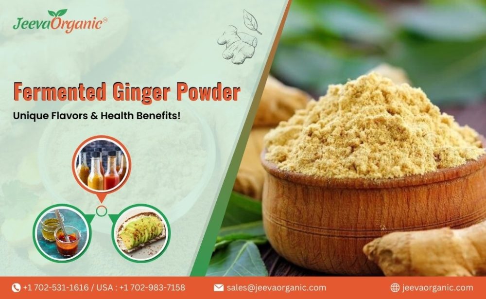 Fermented Ginger Powder: Unique Flavors & Health Benefits