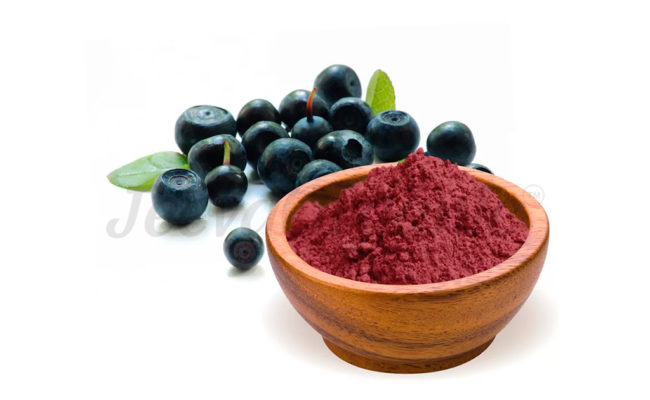 Freeze-Dried Acai Powder Products with Nature's Best