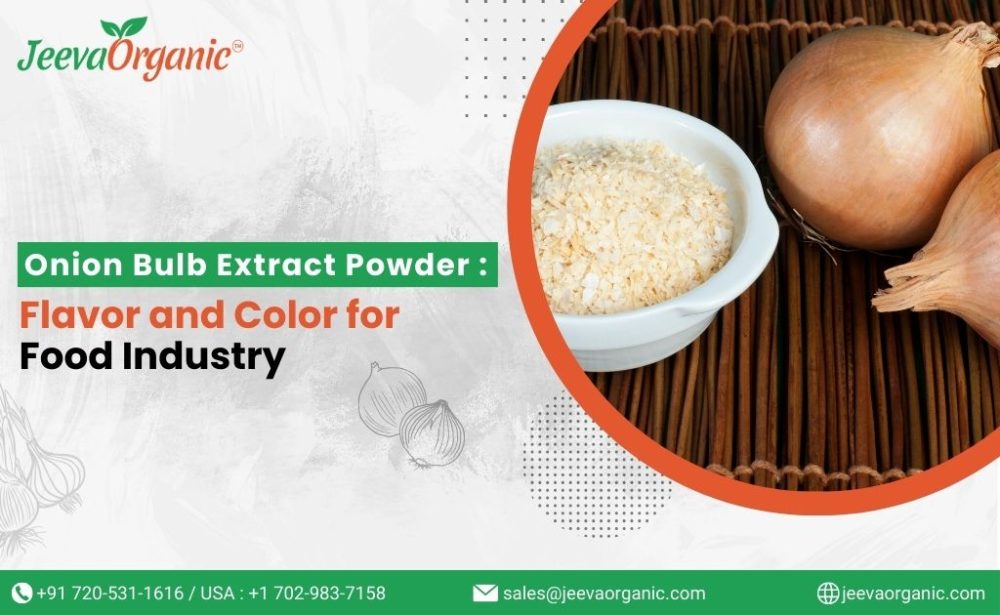 Onion Bulb Extract Powder for the Food Industry