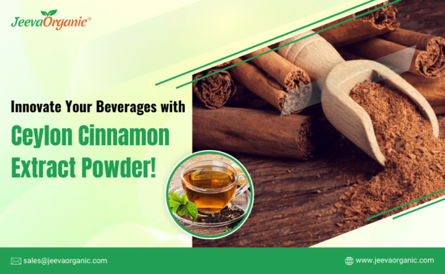 Ceylon Cinnamon Extract Powder: A Flavorful Journey