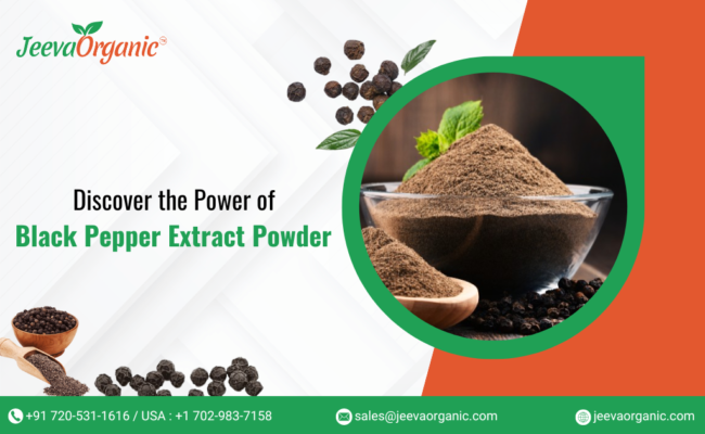 Black Pepper Extract Powder in B2B Products