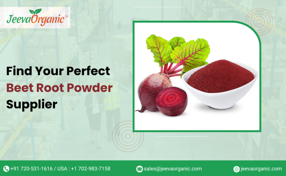 Beetroot Powder Wholesaler: The Perfect Supplier