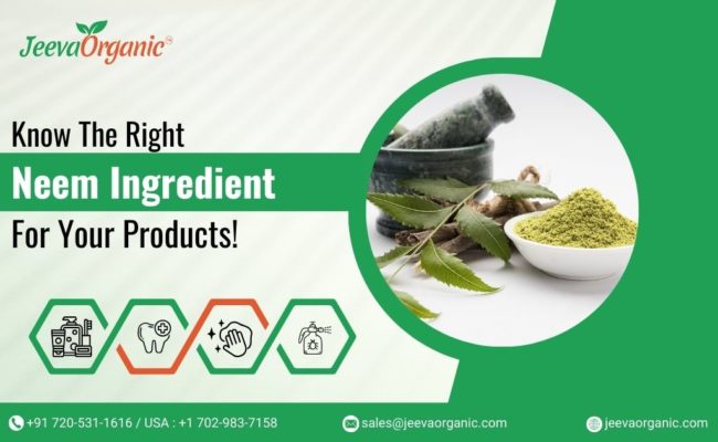Neem Powder vs. Neem Extract: The Right Choice for Your Product