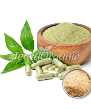 Bacopa Extract Powder 20% Bacosides, HPLC