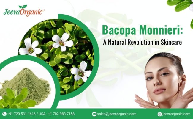 Bacopa Monnieri: A Natural Revolution in Skincare