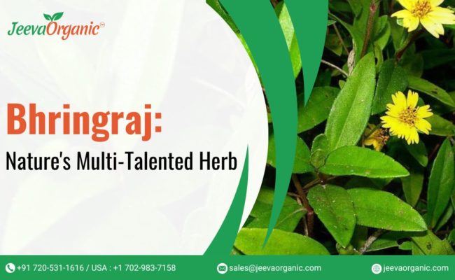 Bhringraj Powder vs. Other Herbal Ingredients